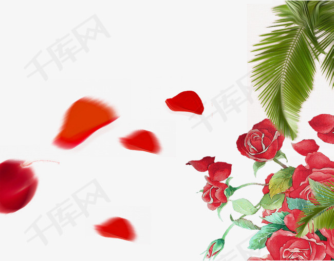 水彩玫瑰花花瓣棕树叶装饰图片