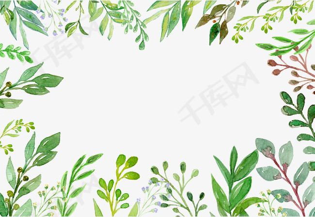 绿色夏日植物手绘边框