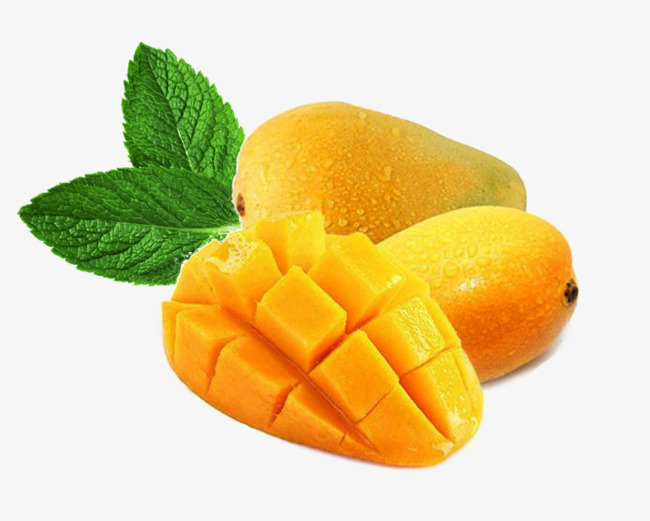 小台芒与绿叶图片素材图片免费下载_高清装饰