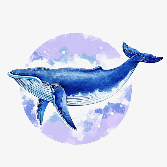 纯原创手绘儿童节意象星空鲸鱼气球仿水彩