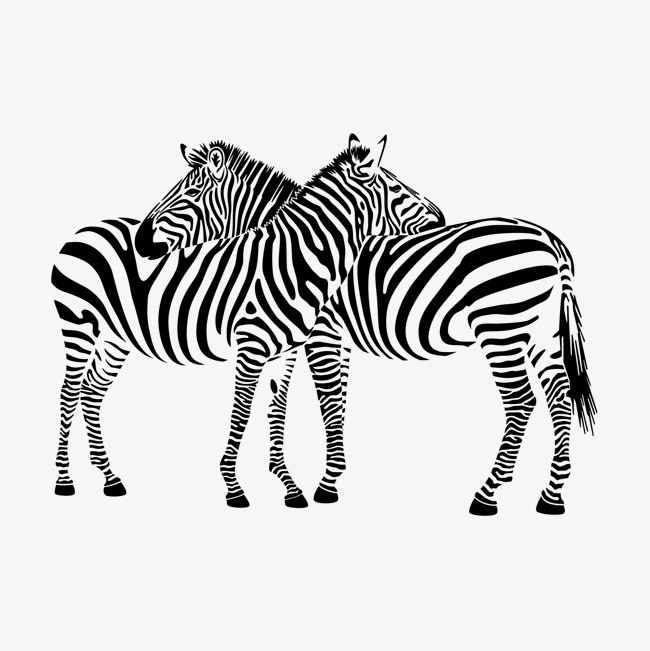 点击右侧免费下载按钮可进行 斑马png图片素材高速下载.