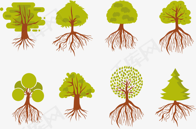 植物根系介绍矢量素材生物科学高中生物课植物根系大树的根系