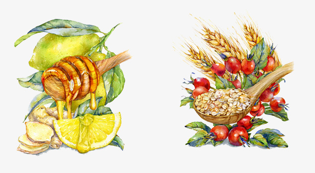 水彩食物素材图片免费下载_高清png