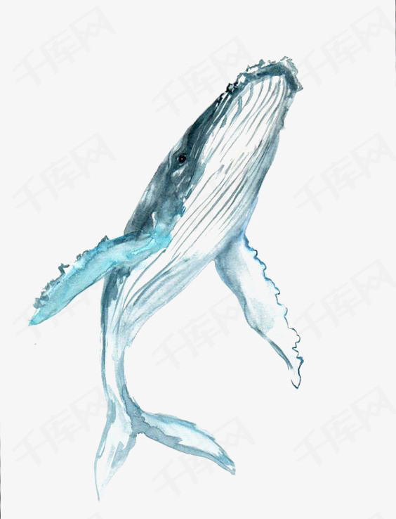 水彩鲸鱼手绘鲸鱼蓝鲸鲸鱼插画鲸鱼免扣元素海洋卡通鲸鱼