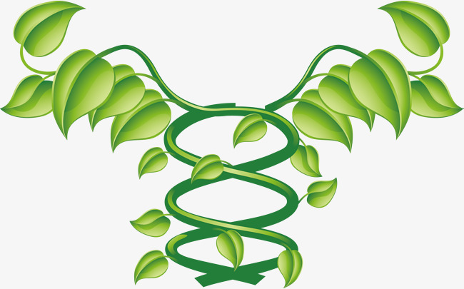 原创小清新矢量植物叶子绿叶花卉元素设计