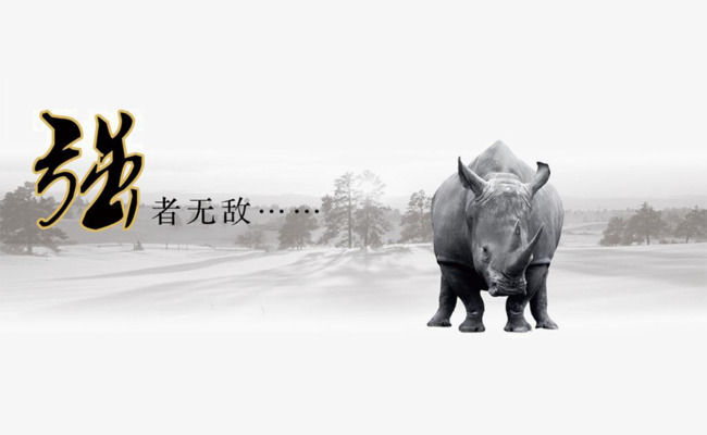 强者无敌