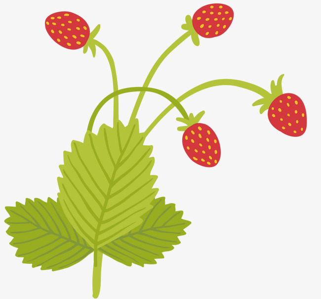 一棵草莓树素材图片免费下载_高清psd