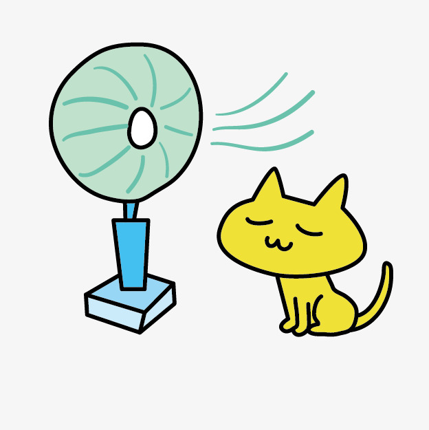 吹风扇的猫