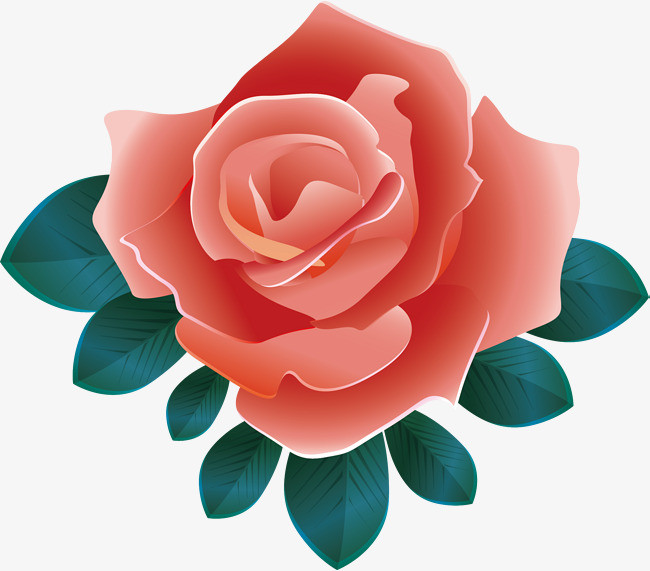 一个女人用一朵玫瑰花做微信头像,两个月左右换一次微信头像,换来换去