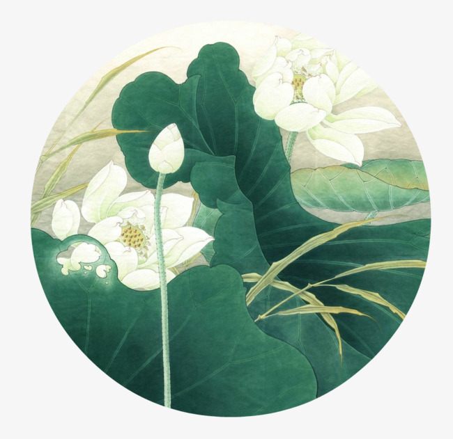 白色莲花绿色荷叶工笔画国画荷花荷叶工笔荷花