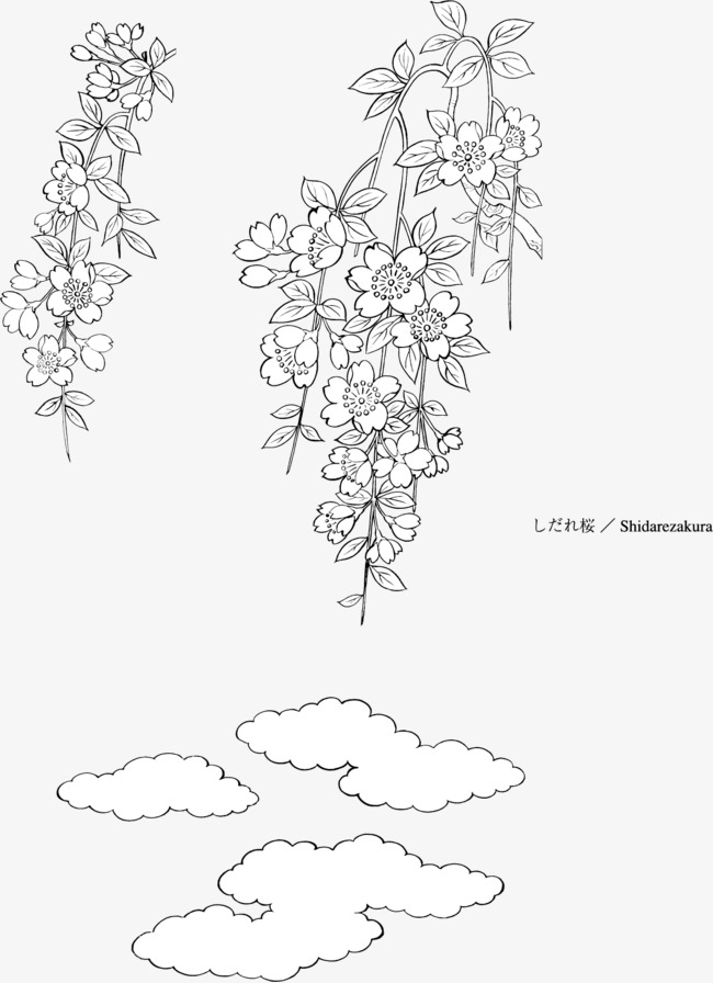 桂花花简笔画_梅花简笔画_芙蓉花简笔画_桂花简笔画手绘_视安网