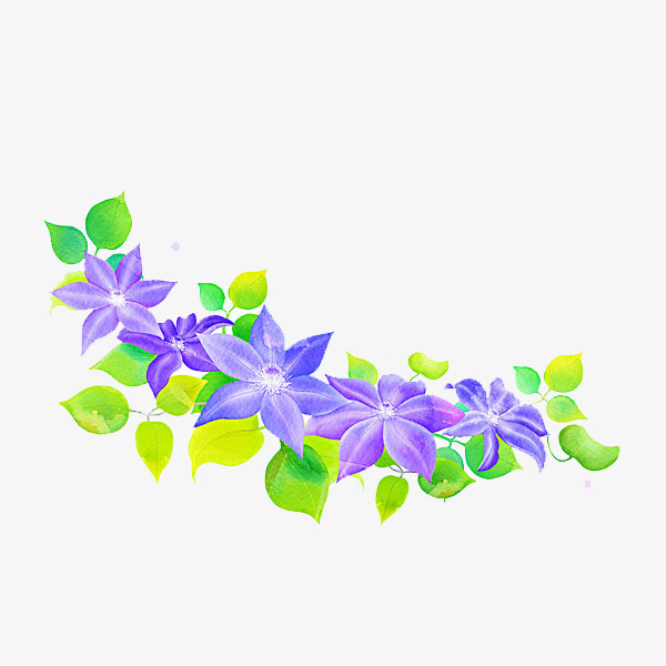 绿叶上的花朵图片