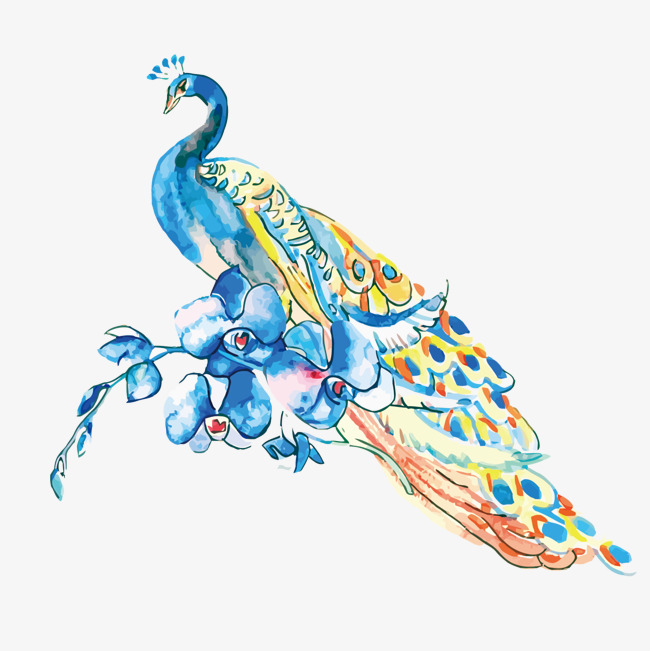 图片> 【png】 矢量手绘 孔雀 分类:手绘动漫 类目:其他 格式:png