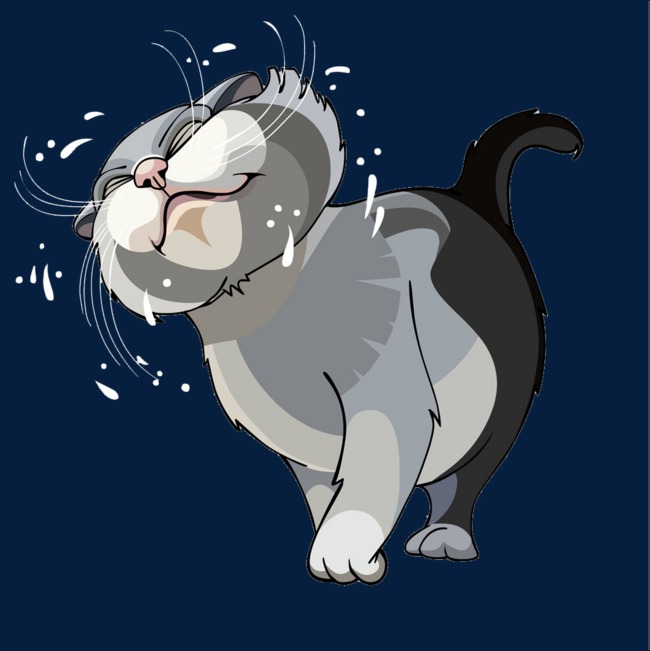 洗脸的猫咪素材图片免费下载_高清png