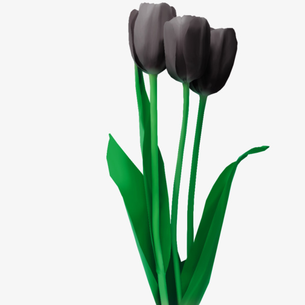 绿叶上的花朵图片