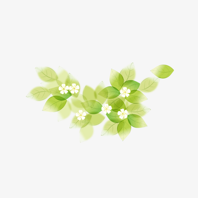 绿叶上的花朵图片