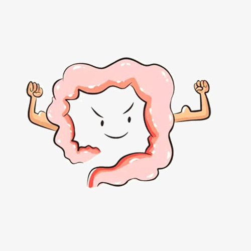 健康的肠道双手肠道卡通手绘健康检查        
