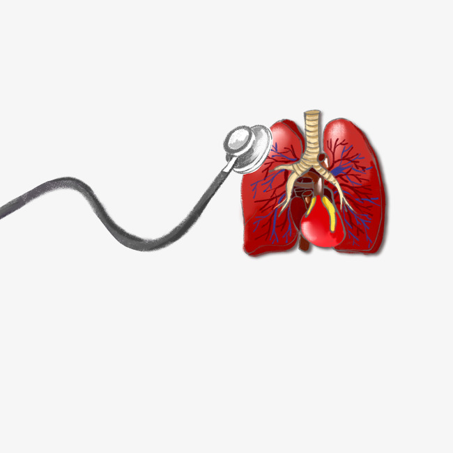 肺部诊断矢量图素材图片免费下载_高清psd