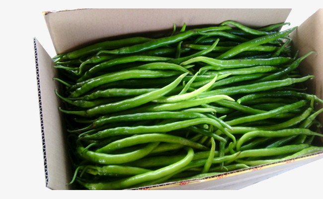 一箱线椒素材图片免费下载_高清png