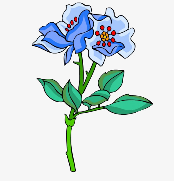 绿叶上的花朵图片