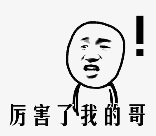 厉害了我的哥表情包
