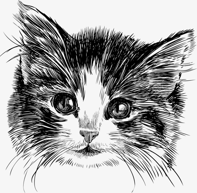 可爱手绘卡通猫咪表情包悄咪咪