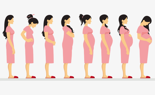怀胎十月素材图片免费下载_高清psd