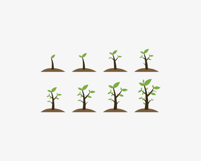 小树苗成长过程素材图片免费下载_高清png
