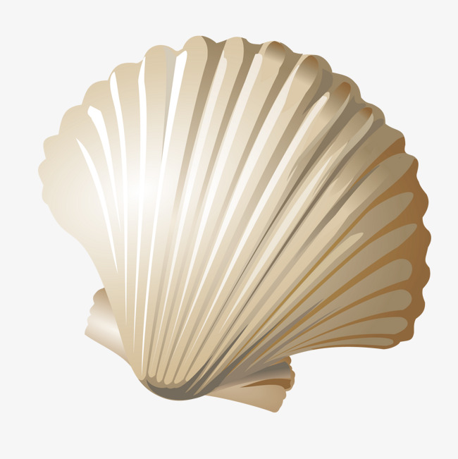 矢量贝壳素材图片免费下载_高清psd