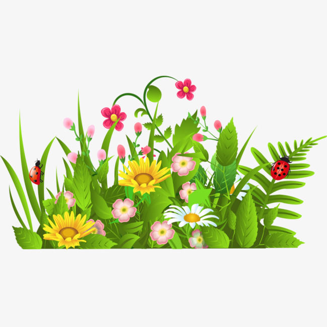 绿叶上的花朵图片
