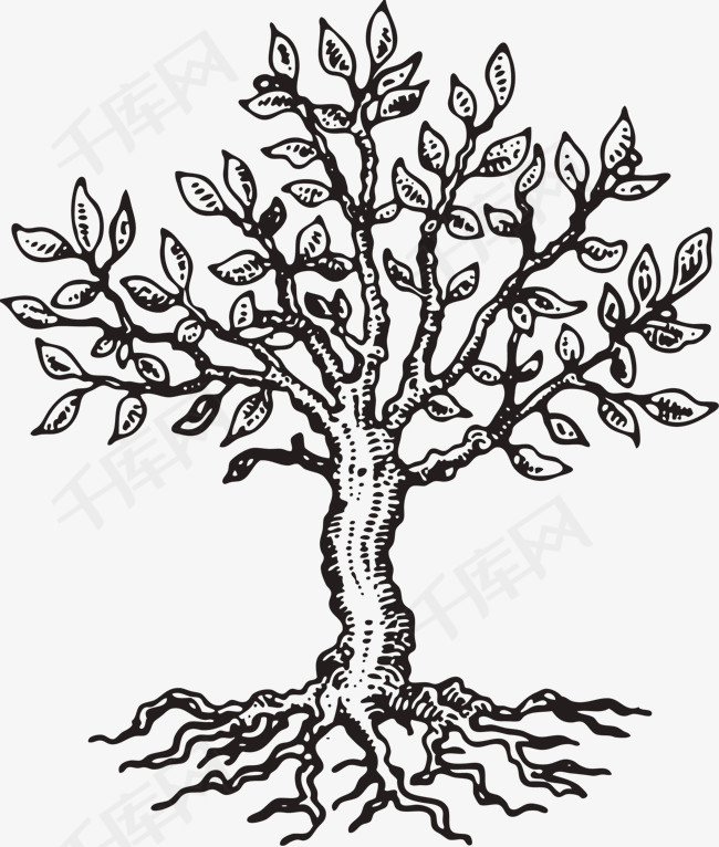 素描树木素材图片免费下载_高清png_千库网(图片编号