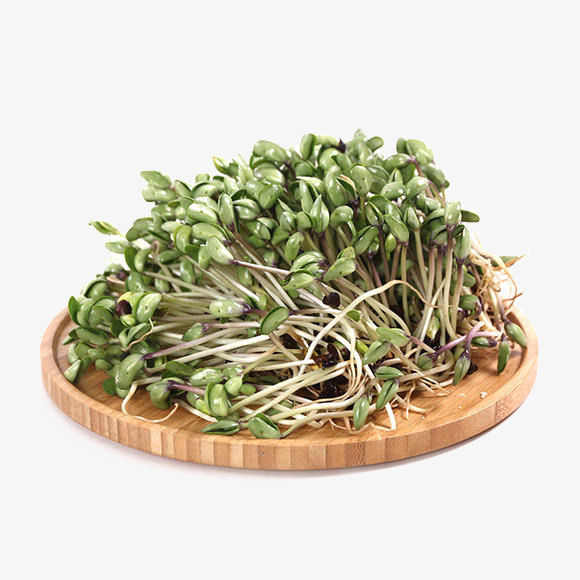 一盘青豆芽素材图片免费下载_高清psd