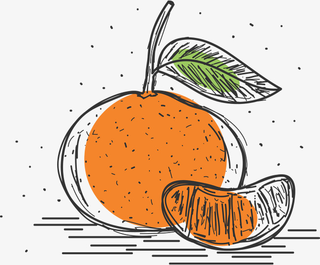 手绘简约柚子柚子卡通柚子水果卡通水果手绘柚子橙子
