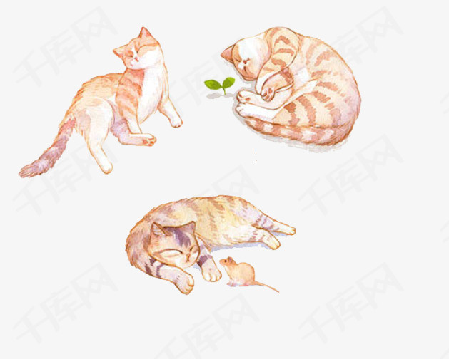 慵懒猫咪猫咪动物慵懒小老鼠卡通动物可爱   