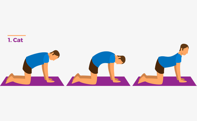 猫式伸展分解动作素材图片免费下载_高清psd