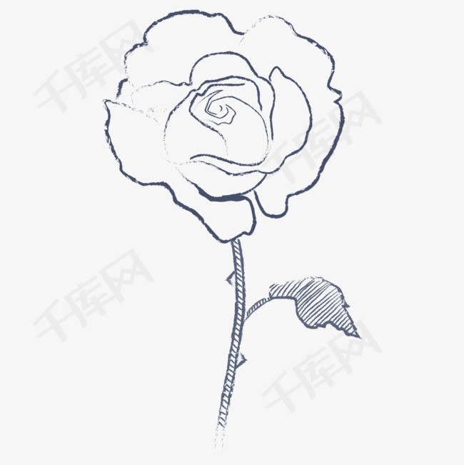 一枝花速写素材图片免费下载_高清png_千库网(图片