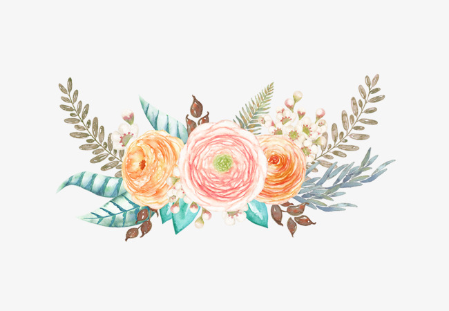 鲜花画册手绘封面