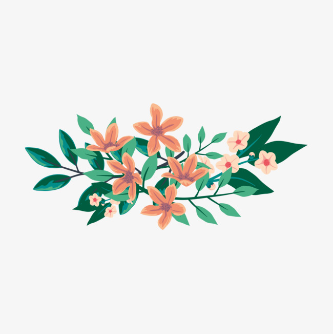 绿叶上的花朵图片