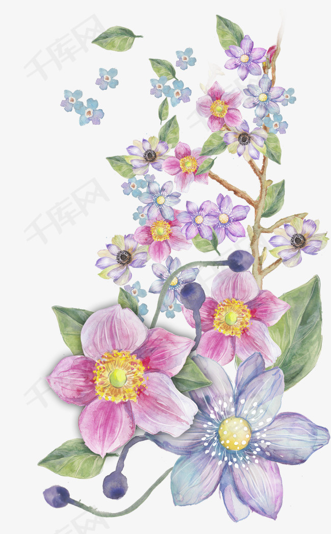 手绘鲜花