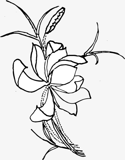 手绘鲜花