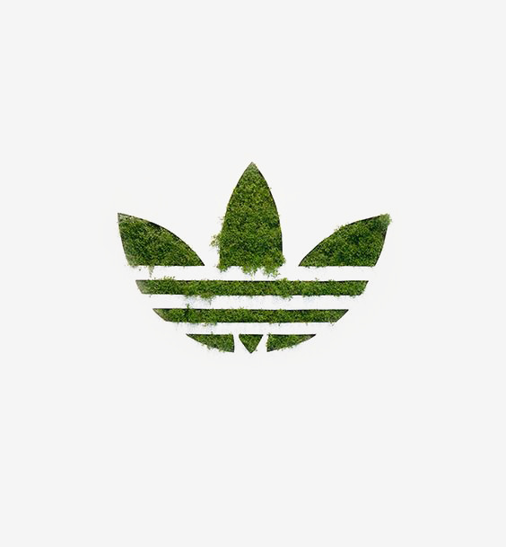 绿色三叶草标志图片