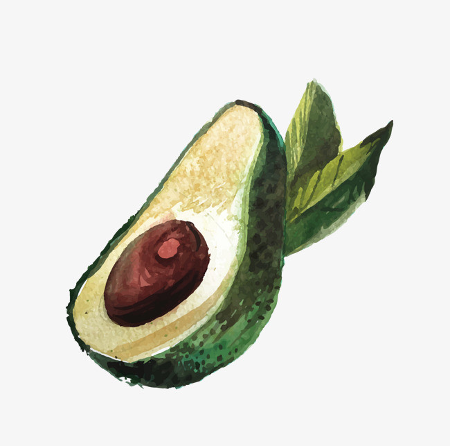 矢量牛油果矢量卡通手绘水彩牛油果png