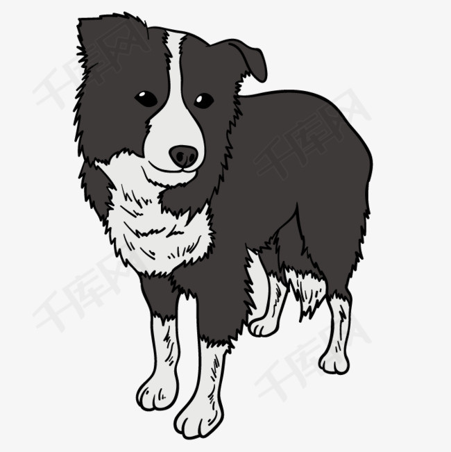 手绘牧羊犬