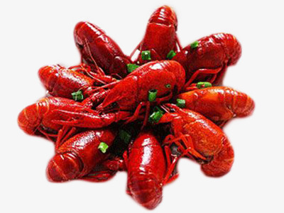 麻辣小龙虾素材图片免费下载_高清png_千库网