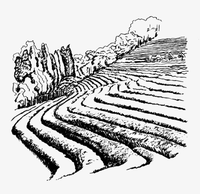 卡通装饰芒种插画山水梯田风景元素