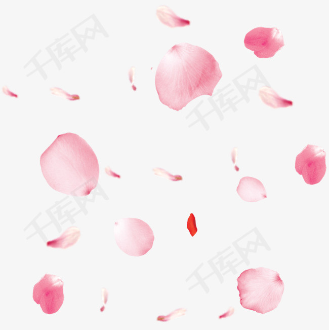 粉色樱花花卉花瓣素材图片免费下载_高清psd_千库网