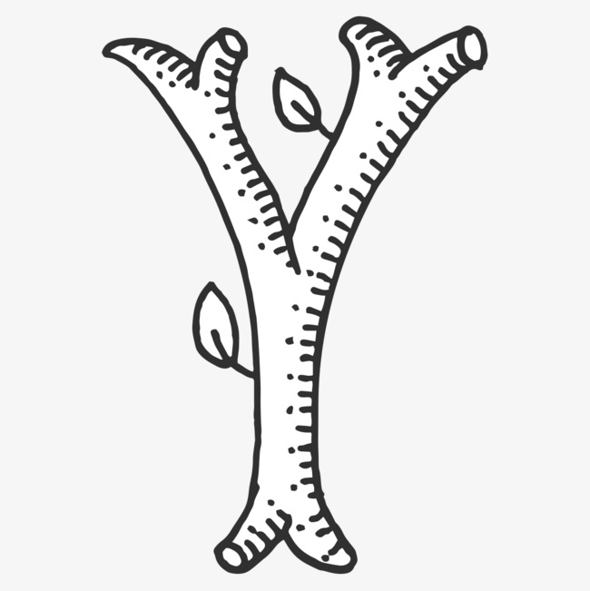 树干字母y