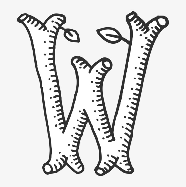 手绘树枝字母w