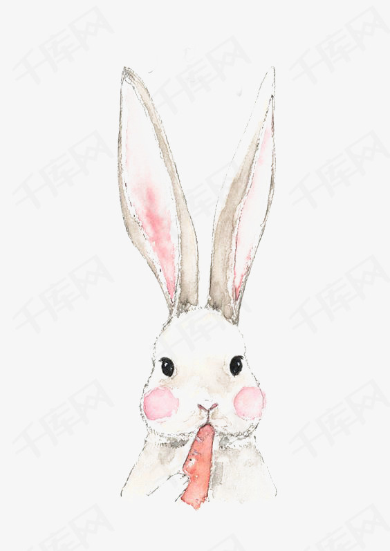 长耳朵兔子