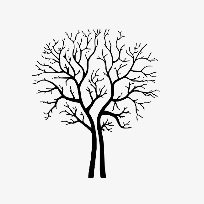 一棵枯树长绿叶猜成语_枯树简笔画(2)